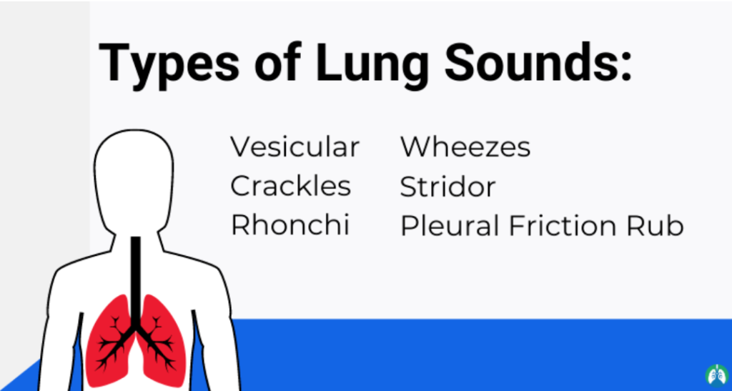 Types of Lung Sounds